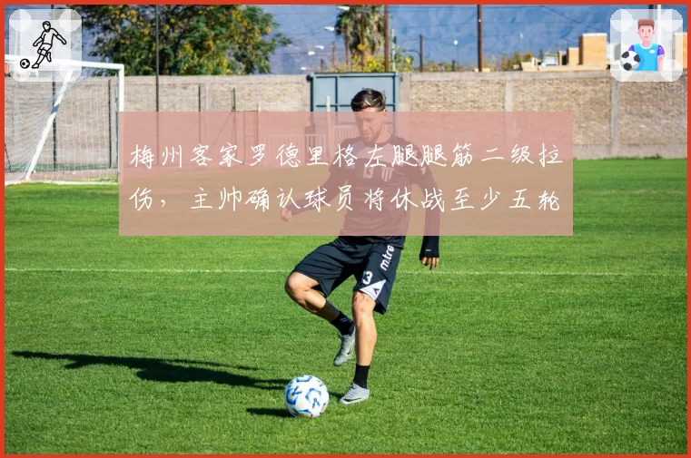 梅州客家罗德里格左腿腿筋二级拉伤,主帅确认球员将休战至少五轮__br_
