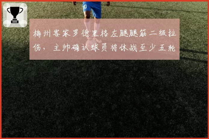 梅州客家罗德里格左腿腿筋二级拉伤，主帅确认球员将休战至少五轮__br_